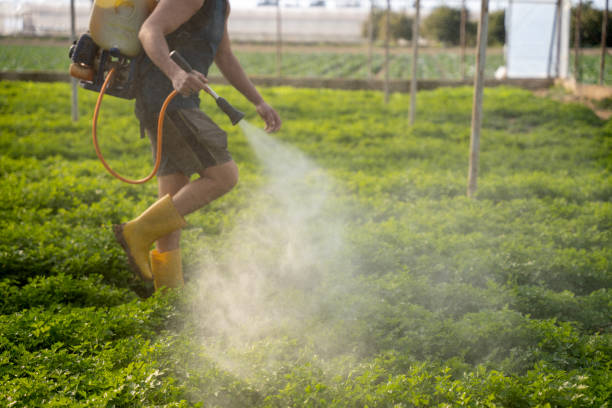 Best Ant Control Services  in Pisgah, AL