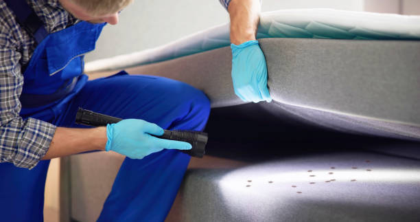Best Bed Bug Extermination  in Pisgah, AL
