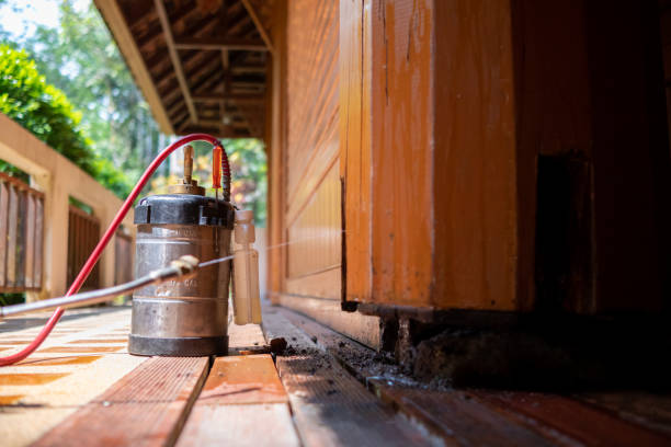 Best Best Pest Control Companies  in Pisgah, AL