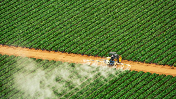 Reliable Pisgah, AL Pest Control Solutions