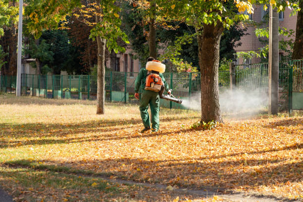 Best Emergency Pest Control  in Pisgah, AL