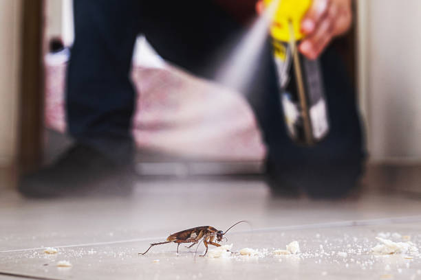 Best Pest Control for Homes  in Pisgah, AL