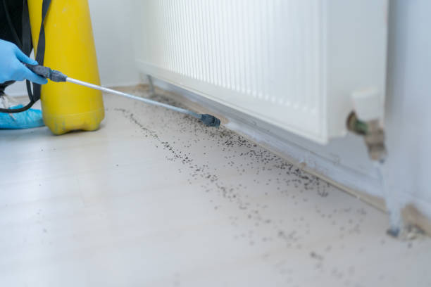 Best Rat Extermination Near Me  in Pisgah, AL