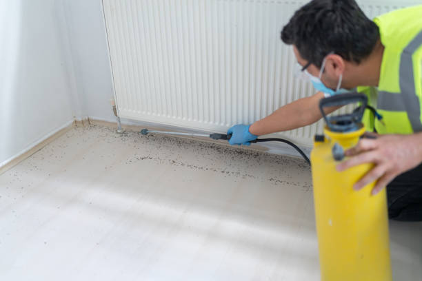 Best Flea Control Services  in Pisgah, AL