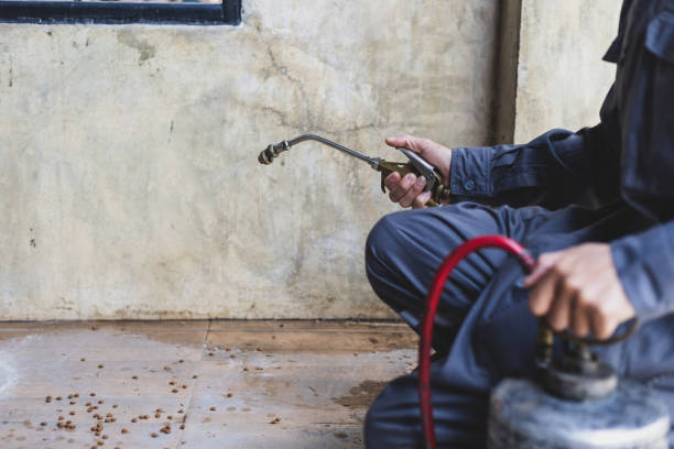 Best Pest Control Near Me  in Pisgah, AL